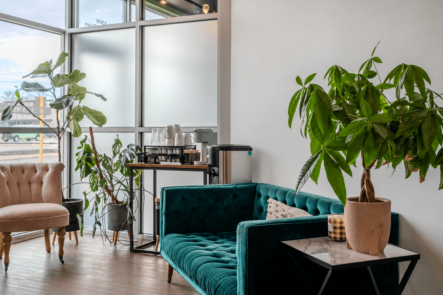 A green velvet sofa and sunlit plants in Reveal Salon & Spa’s welcoming lounge